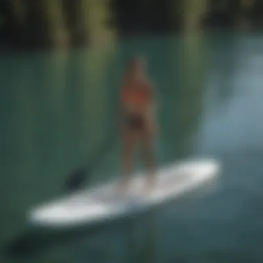 Sleek design of a motorised paddle board on calm waters