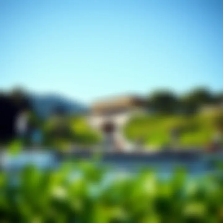 Scenic view of a wakeboard park with lush surroundings and visitors enjoying the facility