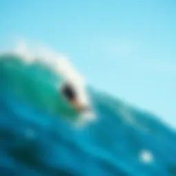 Exploring the Impact of Superbrands in the Surfboard Industry Introduction