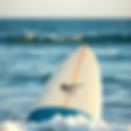 Surfboard adorned with Nike branding against ocean backdrop