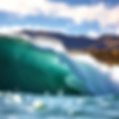 Exploring the Kelly Wave Pool: A Comprehensive Insight Summary