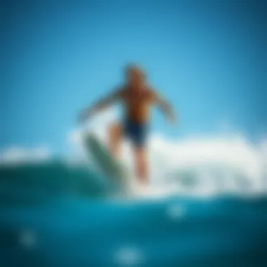 Exploring the Leading Brands in Boardshorts Summary