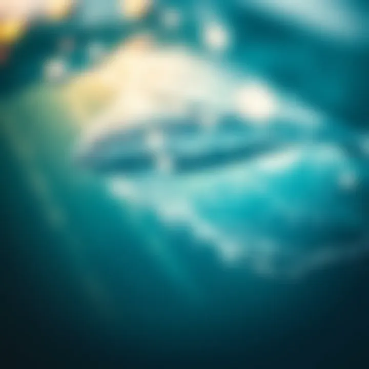 Notable Exploring the O'Neill Swim Sale: Insights and Opportunities