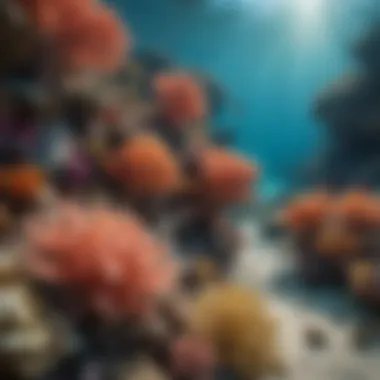 The Beauty of Coral Reefs Vibrant coral reef teeming with marine life