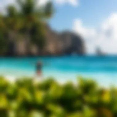 Exploring the Shacks Beach in Puerto Rico: A Deep Dive Summary Exploring the Shacks Beach in Puerto Rico: A Deep Dive Summary