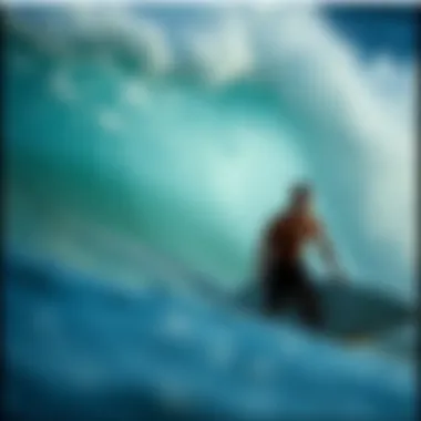 Exploring the Surfing Culture of California Summary