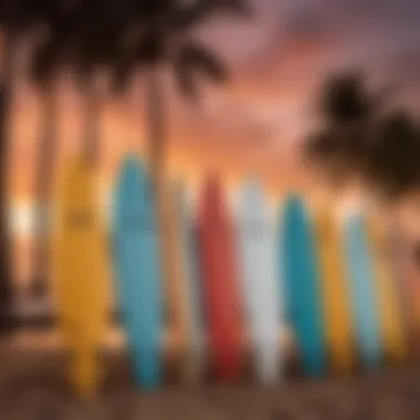 Surfboard lined up on the beach at sunset