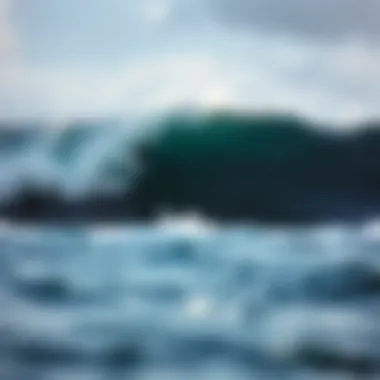 Notable Exploring the Waves of the North Shore: A Comprehensive Analysis