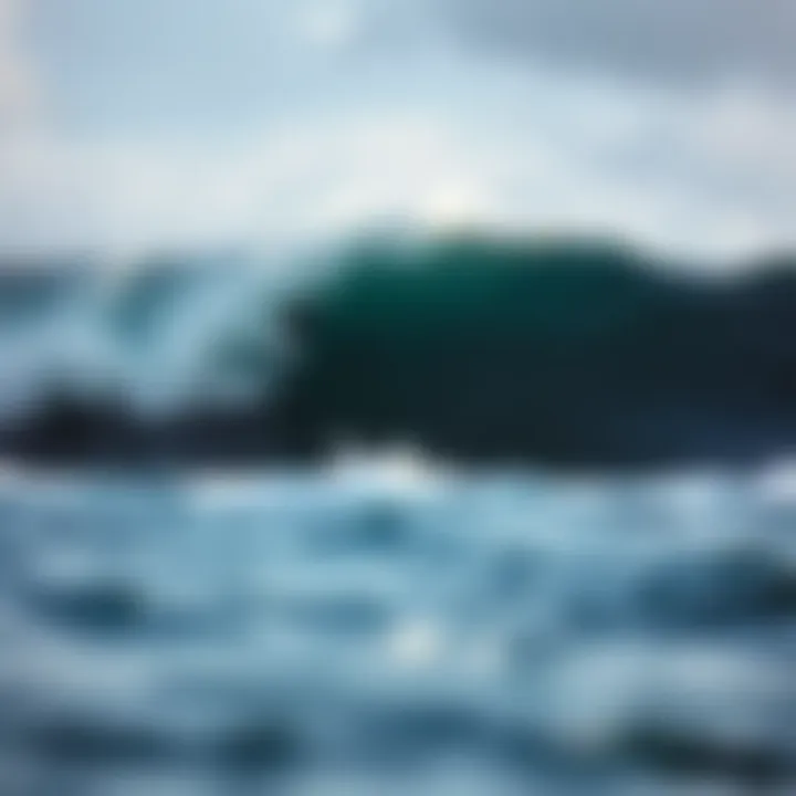 Notable Exploring the Waves of the North Shore: A Comprehensive Analysis