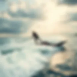 Dynamic view of the Waydoo Hydrofoil in action on water