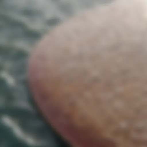 Close-up view of a fiberglass skimboard showcasing its unique texture