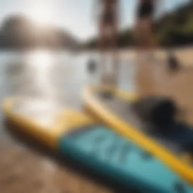 Essential paddle boarding gear displayed on a sunny beach