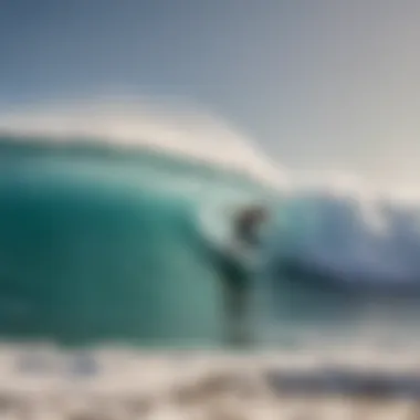 Artistic Surf Culture Layout An artistic layout of surfing culture and its influences