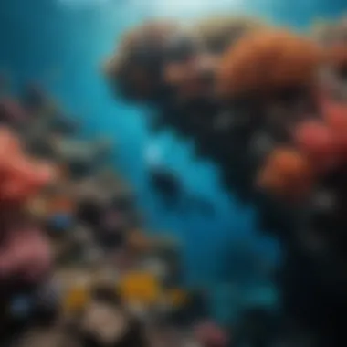 A diver exploring a vibrant coral reef teeming with marine life