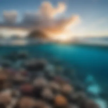 Conservation Initiatives for the Great Barrier Reef Conservation efforts to protect the reef's ecosystem