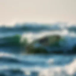 High Performance Soft Top Surfboards: An In-Depth Analysis Introduction