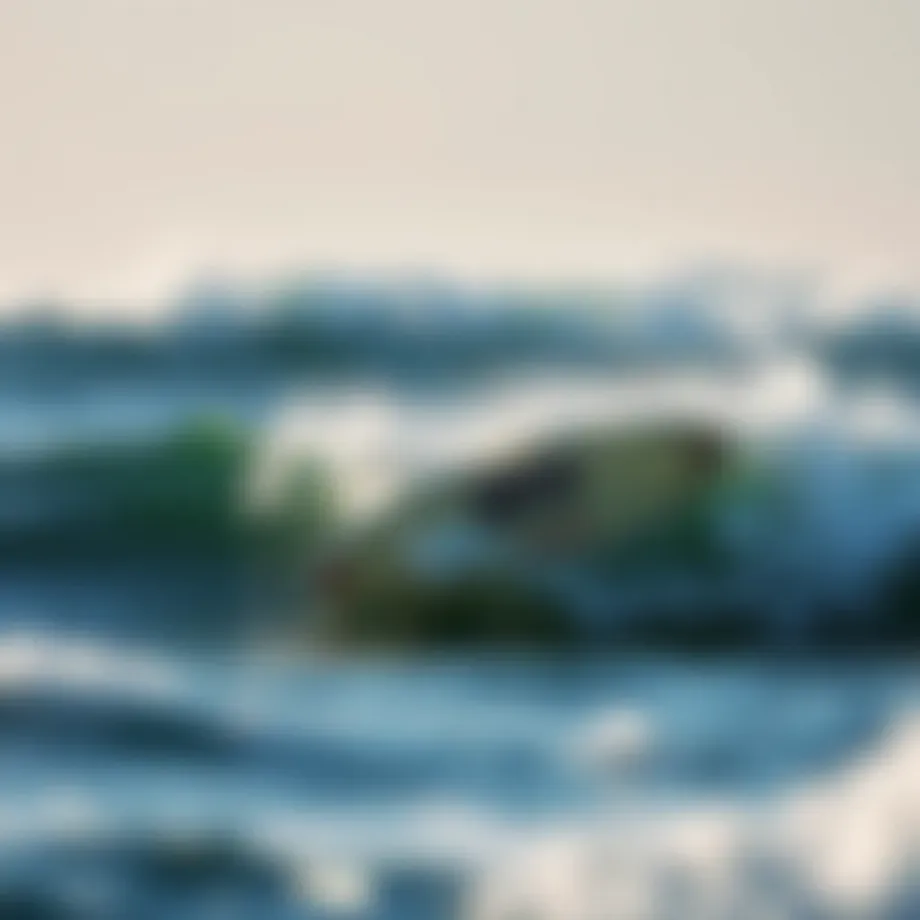 High Performance Soft Top Surfboards: An In-Depth Analysis Introduction