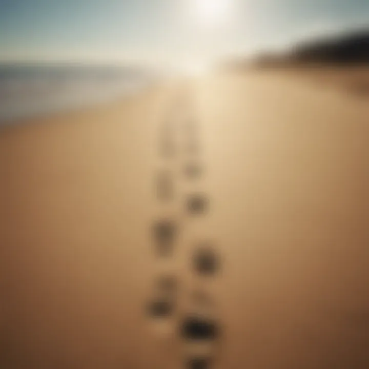 Footprints in the sand leading towards the horizon