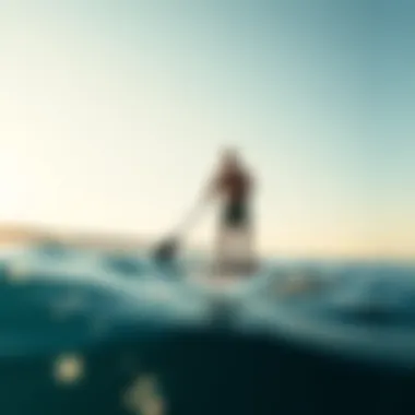 Mastering the Art of Standing on a Stand-Up Paddleboard Summary Mastering the Art of Standing on a Stand-Up Paddleboard Summary