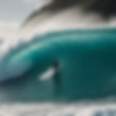 The Surfing Community Community of big wave surfers