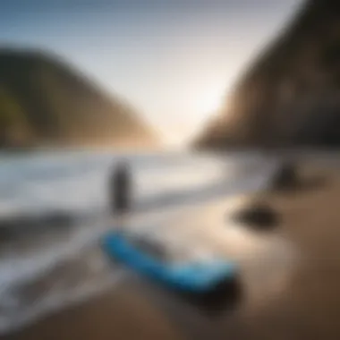 Different sizes of bodyboards showcased