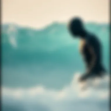 Navigating the Wetsuit Sale Landscape: A Comprehensive Guide Introduction Navigating the Wetsuit Sale Landscape: A Comprehensive Guide Introduction