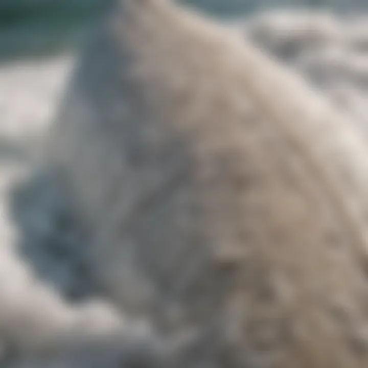 Close-up view of the Odysea foam surfboard showcasing its unique texture and grip.