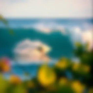 Rapture Surf Camp, Costa Rica: A Deep Dive into the Ultimate Surfing Experience Summary