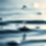 Close-up of water droplets on a surface symbolizing hydration