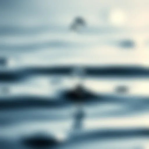 Close-up of water droplets on a surface symbolizing hydration