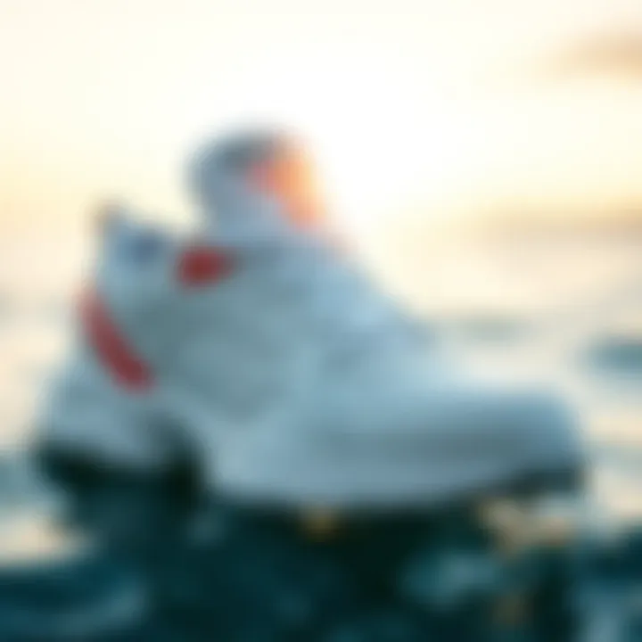 Roxy White Bayshore Sneakers: A Deep Dive into Their Role in Watersports Summary