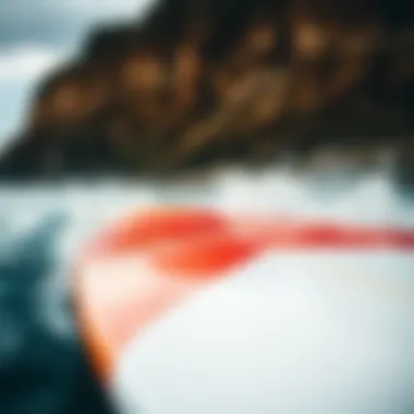 Notable Selecting the Optimal Spray Paint for Surfboards