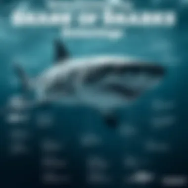Understanding Shark Species: An Educational Overview An educational infographic detailing various shark species and their behaviors.