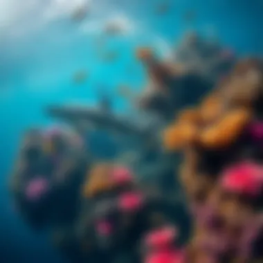 A vibrant coral reef teeming with marine life, highlighting the ecosystem where sharks thrive.