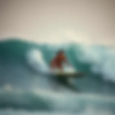 Surfing in Austin, Texas: A Complex Exploration Summary Surfing in Austin, Texas: A Complex Exploration Summary