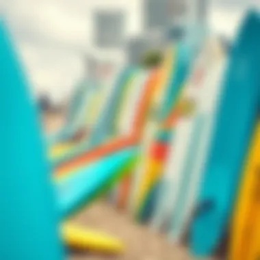 Diverse Surfboards on Melbourne Beach Colorful surfboards lined up on the beach