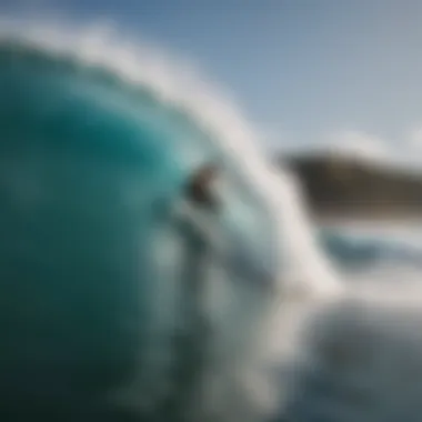 A collection of surfing photographs displayed in a gallery