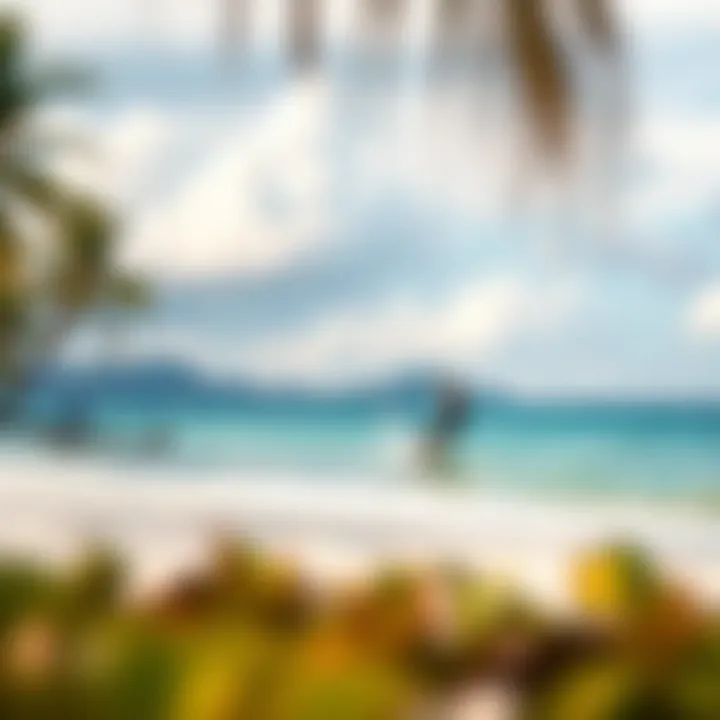 A serene tropical beach perfect for kiteboarding adventures