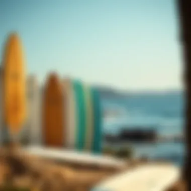 Surfboards by the Coast Surfboards lined up against a picturesque coastline