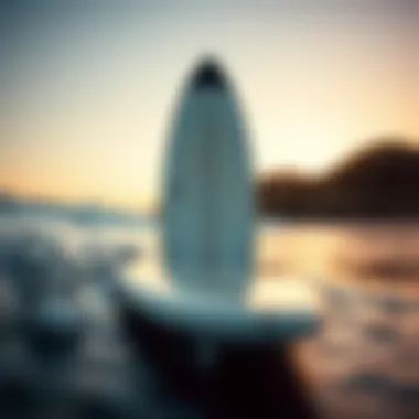 Notable The Comprehensive Guide to Choosing the Best Beginner Foam Surfboard