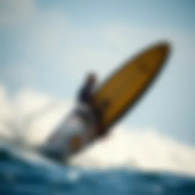 The Comprehensive Guide to E-Board Surfboards Summary The Comprehensive Guide to E-Board Surfboards Summary