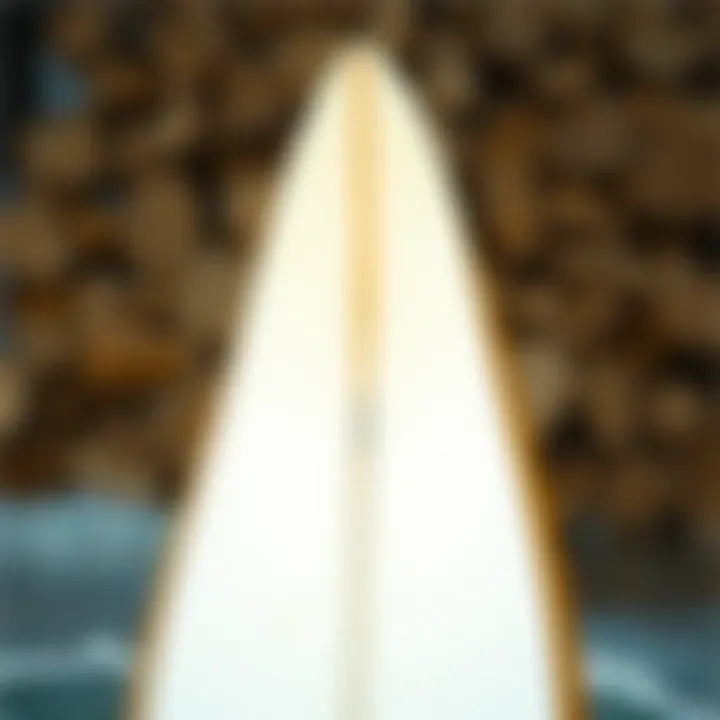 Notable The Comprehensive Guide to Purchasing a Surfboard