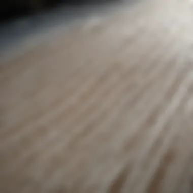 Close-up of a short soft top surfboard showcasing its unique foam texture