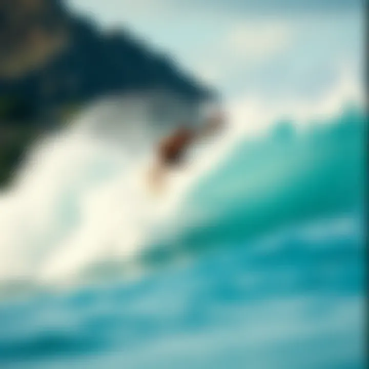 The Evolution and Impact of O'Neill Surf Wear Summary