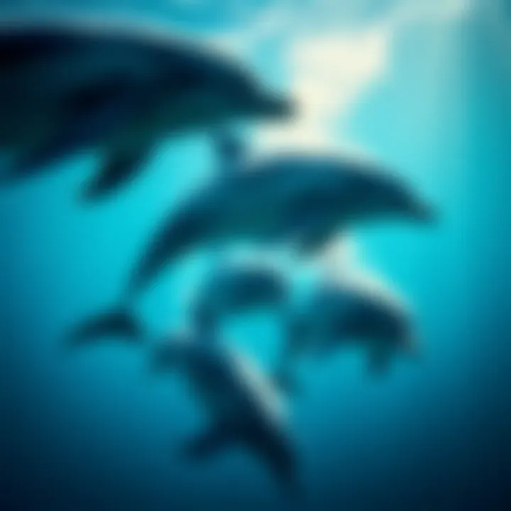 The Familial Bonds of Dolphins: Understanding Their Social Structure and Behavior Summary