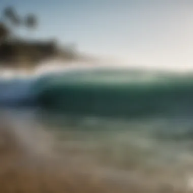 Sustainability and Access in Surfing A serene beach scene emphasizing sustainability and access issues facing surfers