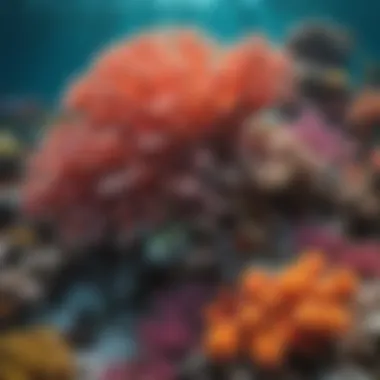 Vibrant Coral Ecosystem Stunning coral formations in the reef cushion coast
