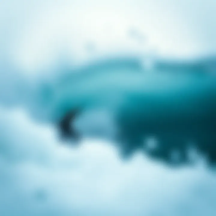 Notable The Role of Surf Sounds in Enhancing Sleep Quality