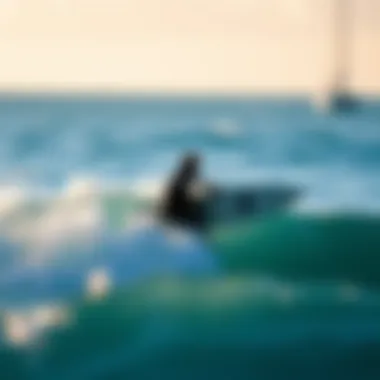 The Significance of Surf Logo Design in the Watersport Community Summary