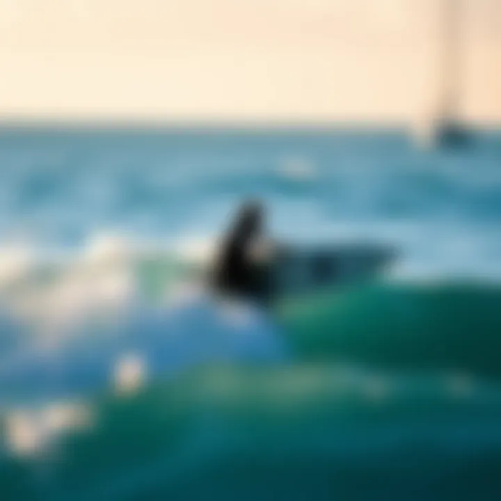 The Significance of Surf Logo Design in the Watersport Community Summary